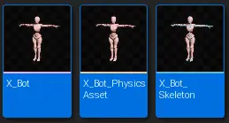 Xbot meshes